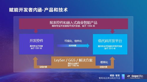 葡萄城發布新使命 賦能開發者，驅動業務創新